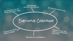 Executive coaching journey…